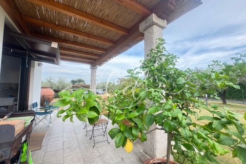 Helårsgrund i Luni, La Spezia, Luni - € 350.000 | Ref: 2549 - foto 6