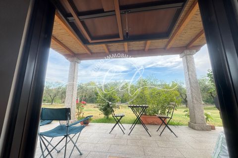 Helårsgrund i Luni, La Spezia, Luni - € 350.000 | Ref: 2549 - foto 9