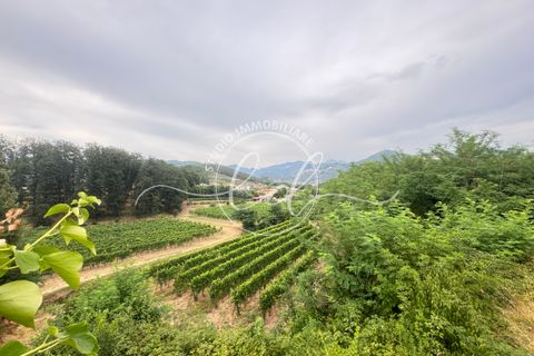 Helårsgrund i Luni, La Spezia, Luni - € 350.000 | Ref: 2549 - foto 21