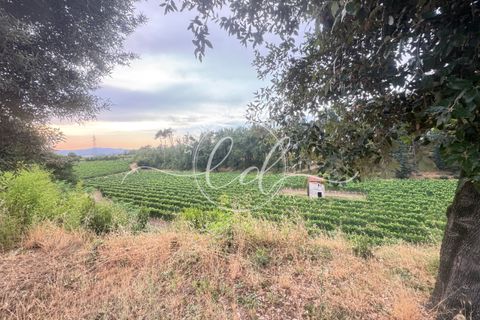 Helårsgrund i Luni, La Spezia, Luni - € 350.000 | Ref: 2549 - foto 23