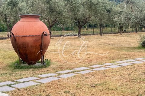 Helårsgrund i Luni, La Spezia, Luni - € 350.000 | Ref: 2549 - foto 28