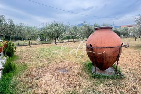 Helårsgrund i Luni, La Spezia, Luni - € 350.000 | Ref: 2549 - foto 29