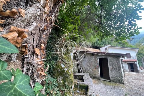 Byhus i Camaiore, Lucca, Camaiore - € 119.000 | Ref: 2535 - foto 2