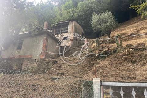 Byhus i Camaiore, Lucca, Camaiore - € 119.000 | Ref: 2535 - foto 3