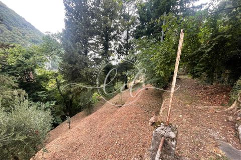 Byhus i Camaiore, Lucca, Camaiore - € 119.000 | Ref: 2535 - foto 24