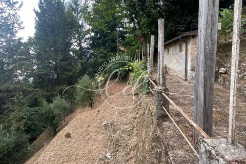 Byhus i Camaiore, Lucca, Camaiore - € 119.000 | Ref: 2535 - foto 25