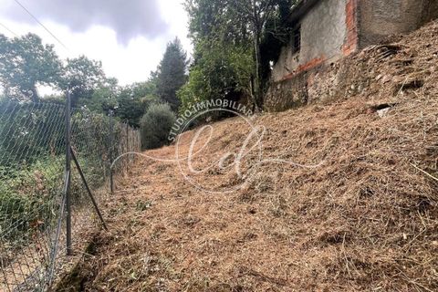 Byhus i Camaiore, Lucca, Camaiore - € 119.000 | Ref: 2535 - foto 29
