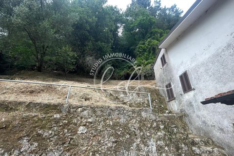 Byhus i Camaiore, Lucca, Camaiore - € 119.000 | Ref: 2535 - foto 32