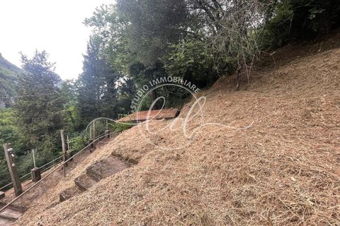 Byhus i Camaiore, Lucca, Camaiore - € 119.000 | Ref: 2535 - foto 43