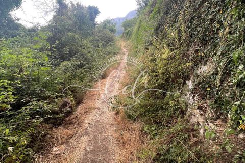 Byhus i Camaiore, Lucca, Camaiore - € 119.000 | Ref: 2535 - foto 44