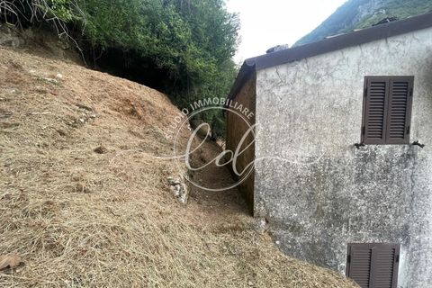 Byhus i Camaiore, Lucca, Camaiore - € 119.000 | Ref: 2535 - foto 48