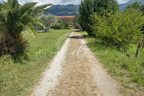 Byhus i Pietrasanta, Lucca, Pietrasanta - € 348.000 | Ref: 2545 - foto 1