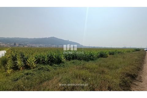 Terra a Areosa, Viana do Castelo, Areosa - € 26.000 | Ref: VCM14481 - foto 6