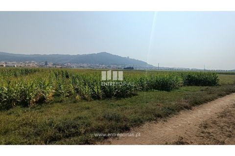 Terra a Areosa, Viana do Castelo, Areosa - € 26.000 | Ref: VCM14481 - foto 12