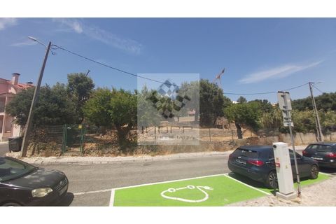 Helårsgrund i Cascais, Lisbon, Cascais - € 1.900.000 | Ref: Imopp-00286 - foto 2