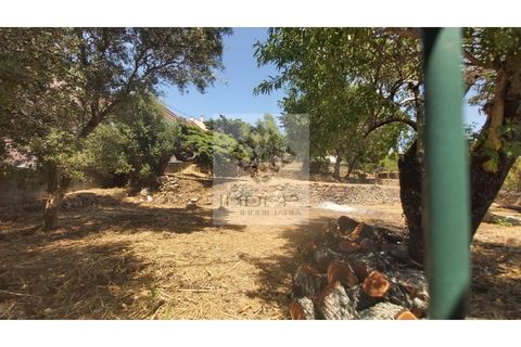 Helårsgrund i Cascais, Lisbon, Cascais - € 1.900.000 | Ref: Imopp-00286 - foto 4
