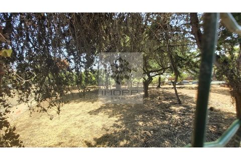 Helårsgrund i Cascais, Lisbon, Cascais - € 1.900.000 | Ref: Imopp-00286 - foto 5