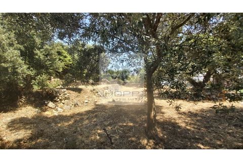 Helårsgrund i Cascais, Lisbon, Cascais - € 1.900.000 | Ref: Imopp-00286 - foto 6