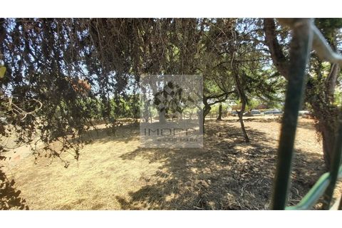 Helårsgrund i Cascais, Lisbon, Cascais - € 1.900.000 | Ref: Imopp-00286 - foto 7