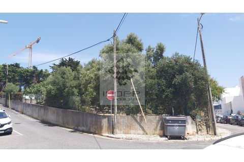 Helårsgrund i Cascais, Lisbon, Cascais - € 1.900.000 | Ref: Imopp-00286 - foto 11