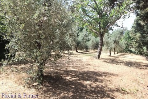 Villa i Panicale, Perugia, Panicale - € 195.000 | Ref: PG1867 - foto 5