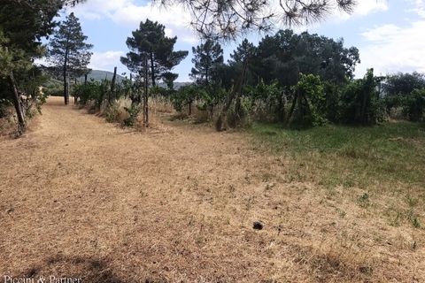 Villa i Panicale, Perugia, Panicale - € 195.000 | Ref: PG1867 - foto 6