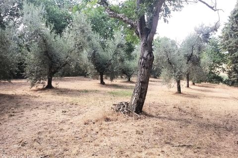 Villa i Panicale, Perugia, Panicale - € 195.000 | Ref: PG1867 - foto 41