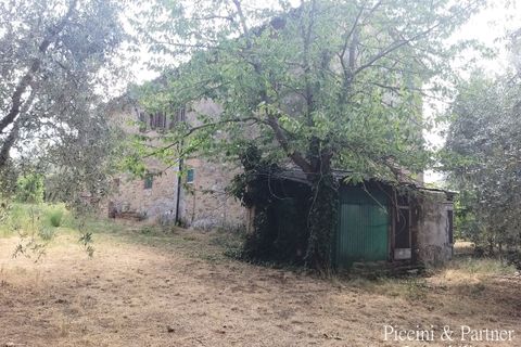 Villa i Panicale, Perugia, Panicale - € 195.000 | Ref: PG1867 - foto 43