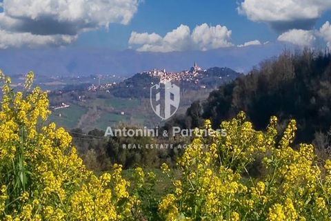 Villa i Todi, Perugia, Todi - € 398.000 | Ref: 69818 - foto 4