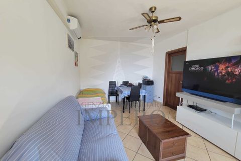 Villa a Camporosso, Imperia, Camporosso - € 199.000 | Ref: 23412 - foto 5