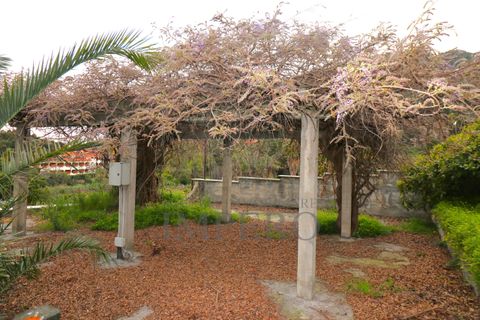 Villa i Ventimiglia, Imperia, Ventimiglia - € 2.500.000 | Ref: 23415 - foto 39