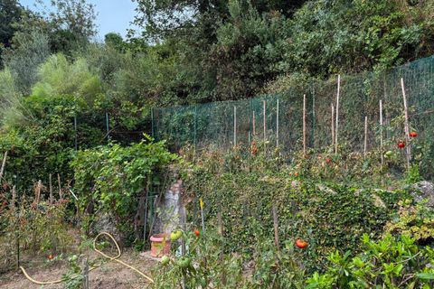 Villa a Camporosso, Imperia, Camporosso - € 579.000 | Ref: 23438 - foto 19