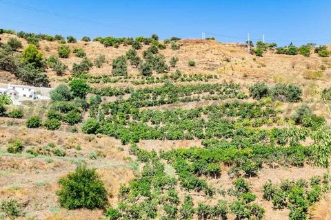 Terreno en Torrox, Malaga, Torrox - € 159.000 | Ref: TP143 - photo 2