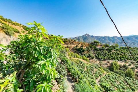 Terreno en Torrox, Malaga, Torrox - € 159.000 | Ref: TP143 - photo 4