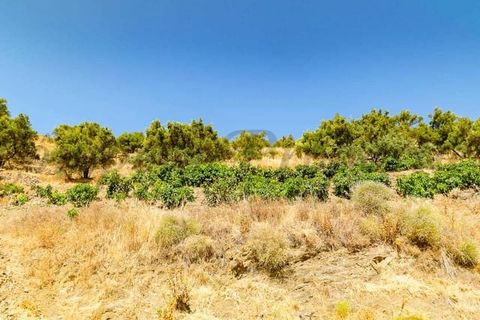 Terreno en Torrox, Malaga, Torrox - € 159.000 | Ref: TP143 - photo 5