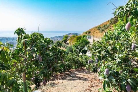 Terreno en Torrox, Malaga, Torrox - € 159.000 | Ref: TP143 - photo 6