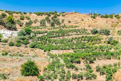 Terreno en Torrox, Malaga, Torrox - € 159.000 | Ref: TP143 - photo 7