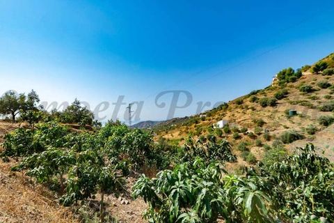Terreno en Torrox, Malaga, Torrox - € 159.000 | Ref: TP143 - photo 8