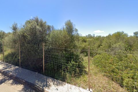 Terreno en Algaida, Mallorca, Algaida - € 325.000 | Ref: 82291 - photo 2