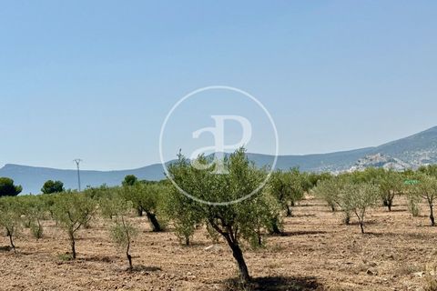 Villa a Alcoy, Alicante, Alcoy - € 478.000 | Ref: VV2508023 - foto 9
