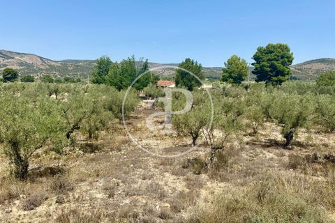 Villa a Alcoy, Alicante, Alcoy - € 478.000 | Ref: VV2508023 - foto 10