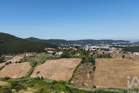 Grond in Mafra, Lisbon, Mafra - € 280.000 | Ref: 147230 - foto 14