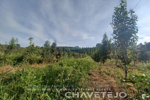 Farm i Serra, Santarem, Serra - € 95.000 | Ref: 704/25 - foto 6