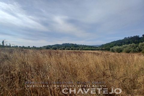 Farm i Serra, Santarem, Serra - € 95.000 | Ref: 704/25 - foto 9