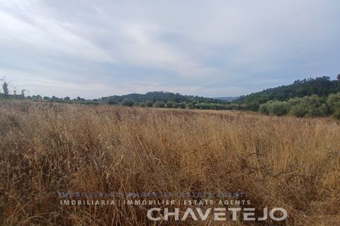Farm i Serra, Santarem, Serra - € 95.000 | Ref: 704/25 - foto 10