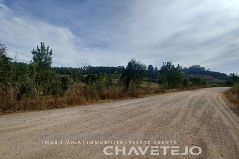 Farm i Serra, Santarem, Serra - € 95.000 | Ref: 704/25 - foto 16