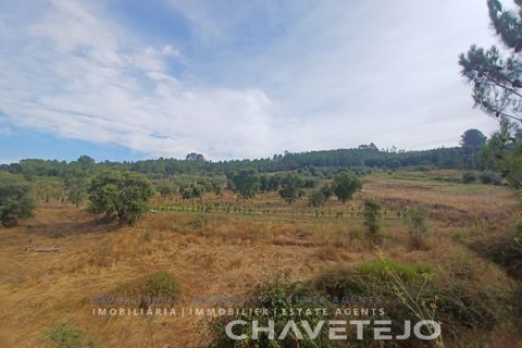 Farm i Serra, Santarem, Serra - € 95.000 | Ref: 704/25 - foto 17