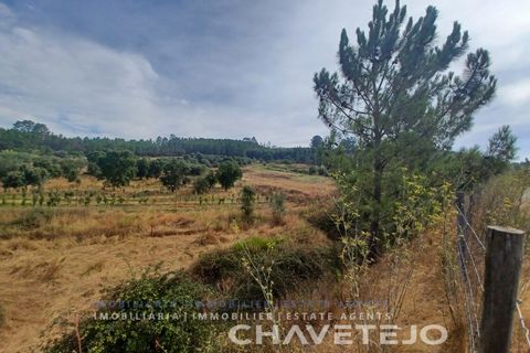Farm i Serra, Santarem, Serra - € 95.000 | Ref: 704/25 - foto 18