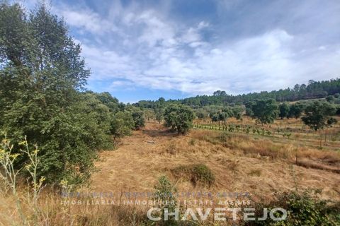 Farm i Serra, Santarem, Serra - € 95.000 | Ref: 704/25 - foto 20