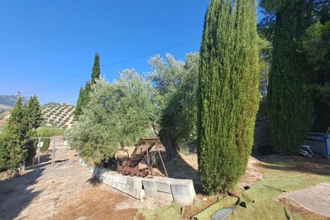 Landejendom i Martos, Jaen, Martos - € 274.000 | Ref: EAF-94395009 - foto 26